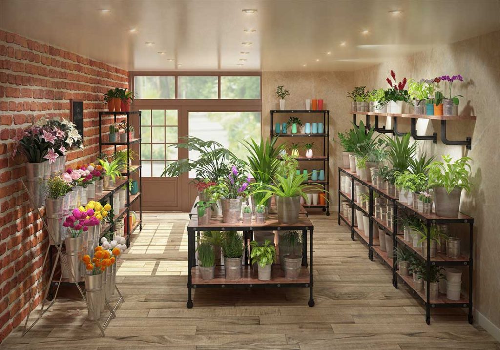 ENKO | Portfolio / Rouxel